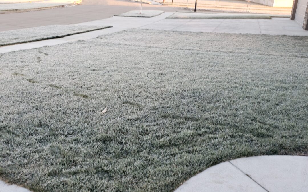Frustrating Frost Formation