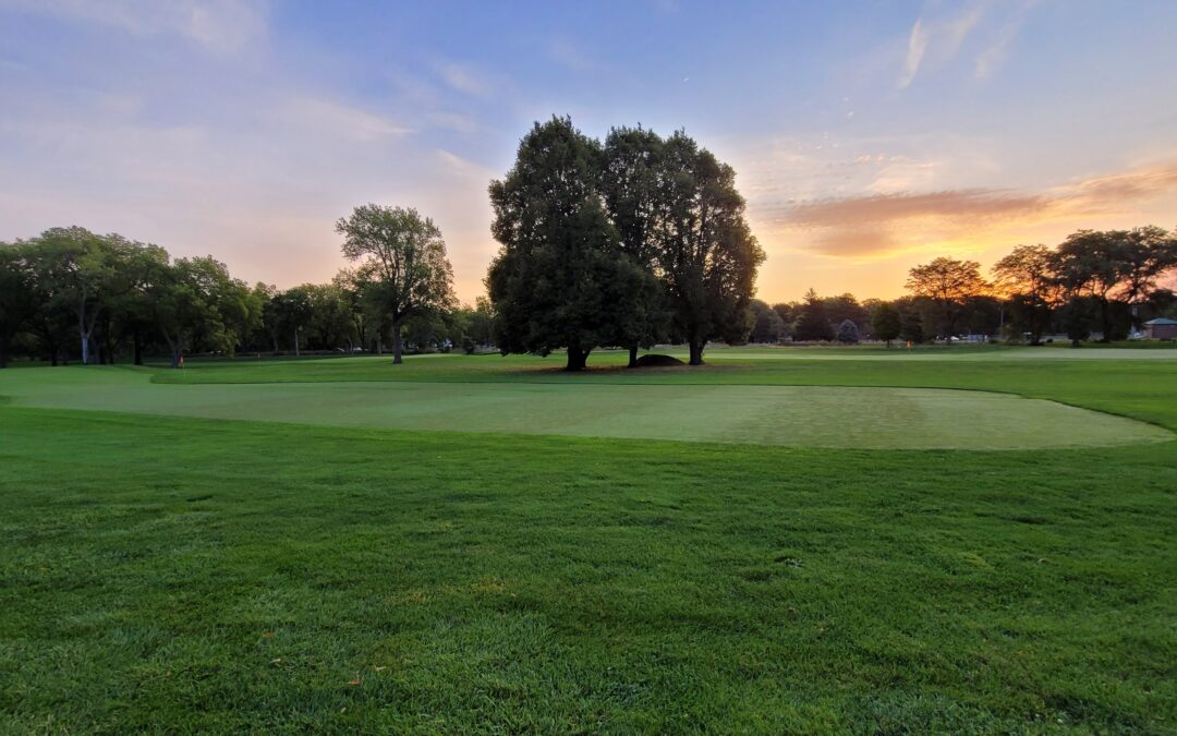 Do Wetting Agents Help Fairways?