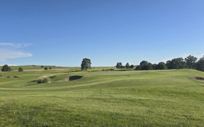 “Models are Wrong,” Yet Some are Incredibly Useful for Turf Management