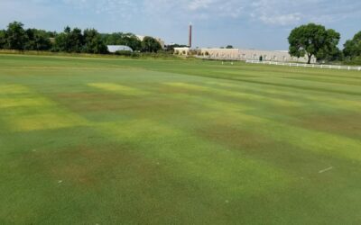 GreenKeeper Models Provide More Insight Than Simple GDD Calculators