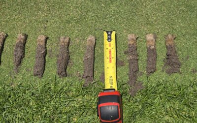 Hi-Res Surface Organic Matter Analysis in GreenKeeper