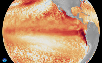 A Very Strong El Niño Is Building. What Should Turf Managers Expect?