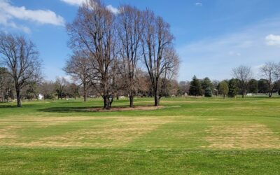 Fall Wetting Agent Timing Matters for Winter Preparation
